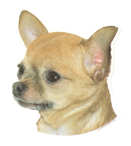 25002
