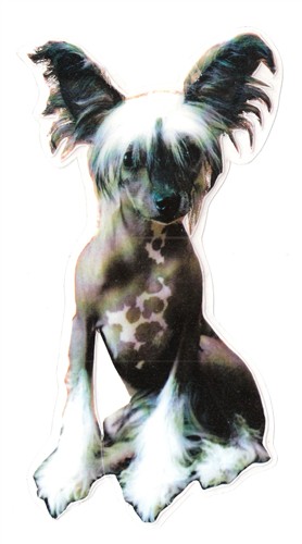 25009
