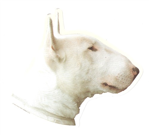 25027
