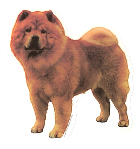 25035