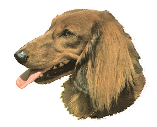 25055